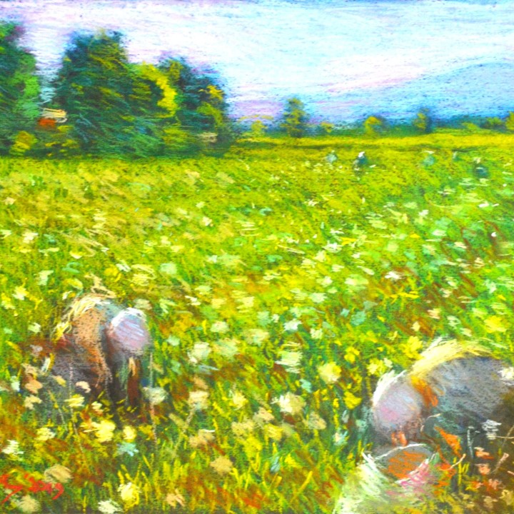 Art by John Mackie John Mackie